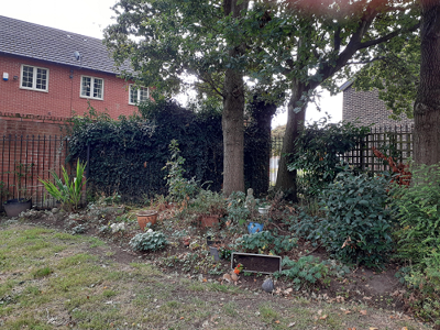 A picture of the garden of the Most Inspirational Gardener of the year category winner